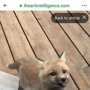 Meet your Posher, Sharon